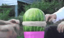 200.gif 200.gif