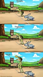 FB_IMG_1738307497268.webp