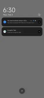 Screenshot_2025-02-03-06-30-35-940_com.globe.gcash.android.webp