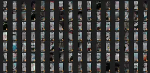 1738635633137.webp 1738635633137.webp