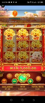 Screenshot_20250210-204302.webp Screenshot_20250210-204302.webp