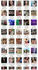 1000120889.webp 1000120889.webp
