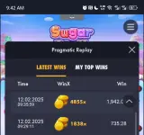 1000000480.webp 1000000480.webp