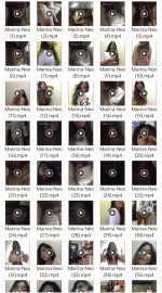 1000124419.webp 1000124419.webp