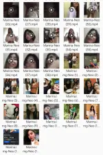 1000124421.webp 1000124421.webp