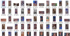Alter Amber Docs - BB® Insights.webp