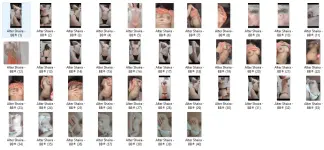 Alter Shaira - BB®Insights.webp