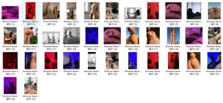 KMV.webp