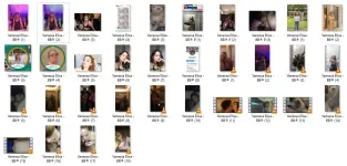 VNE.webp