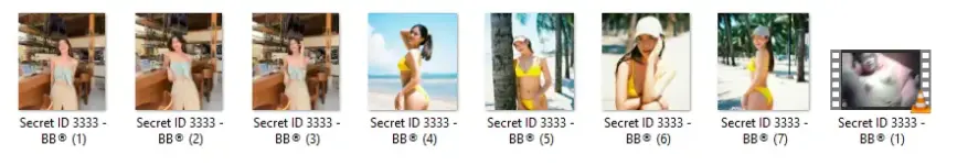 S3333.webp
