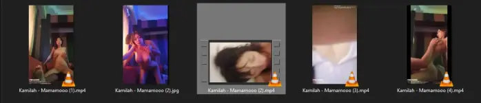 1739629785312.webp
