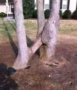 FB_IMG_1739637050153.webp