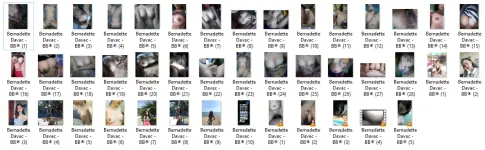 BDV.webp