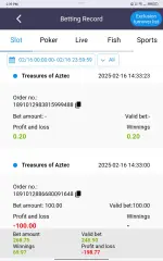 Screenshot_20250216-143942.webp