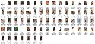 EUN.webp