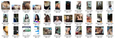 GYS.webp