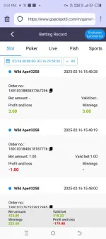 Screenshot_20250216-155406.webp