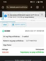 Screenshot_2025_0217_192546.webp