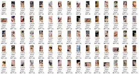 MCF1.webp