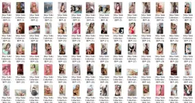 MIS5.webp