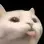 1739977843024.webp