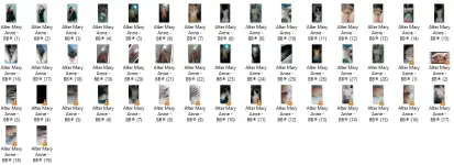 ALM.webp