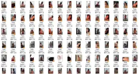 PTY.webp