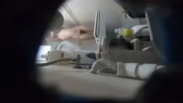 chn25022114.mp4_000032816-1536x864.webp