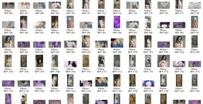 MKS2.webp