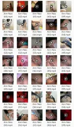 1000130218.webp 1000130218.webp
