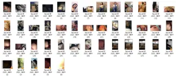 2323.webp