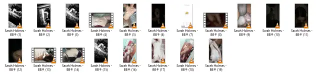 SH2.webp