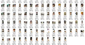 EM2.webp