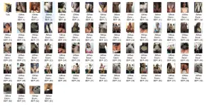 ALE.webp