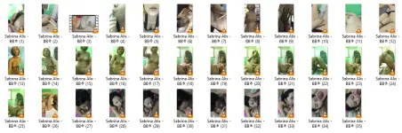 SALX.webp