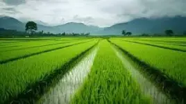 images (7).webp