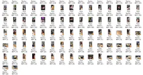 FR2.webp