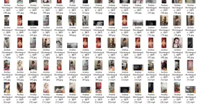 ANM3.webp