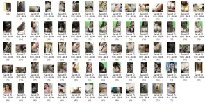 SCS.webp