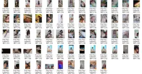 OLF3.webp