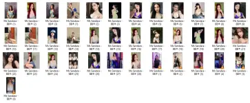 MSS.webp