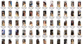 TS4.webp