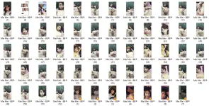 MM.webp