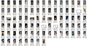 JCA3.webp