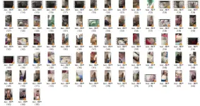 JSS6.webp