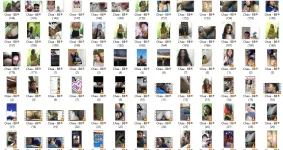 CHE3.webp