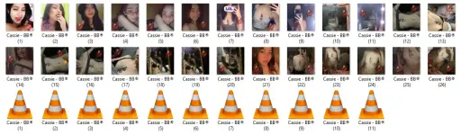 CAS.webp