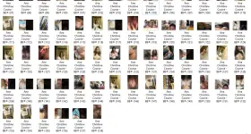 ACC3.webp