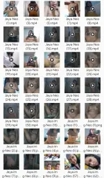 1000132044.webp 1000132044.webp