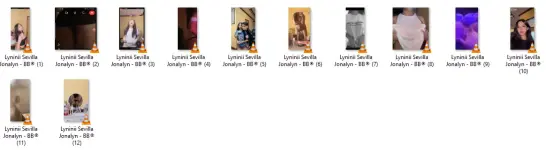 LJ5.webp